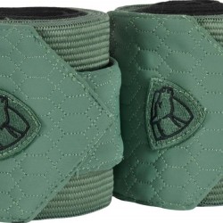 Catago Fir-tech bandages 