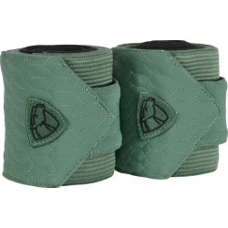 Catago Fir-tech bandages 