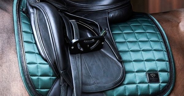 Qizil sochli porno qovun bilan Ayollar plyajlaridagi masturbatorlar porno tube