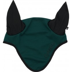 catago fir tech oornetje