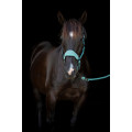 Catago Fir-tech Halster