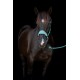 Catago Fir-tech Halster