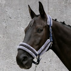 Fair Play halster Verona