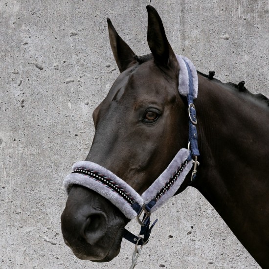 Fair Play halster Verona