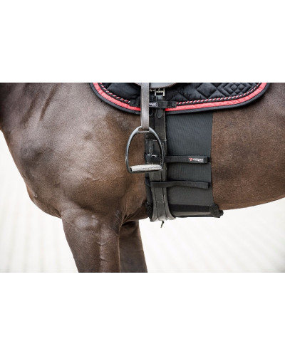Catago Body shield