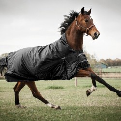 Catago paardendeken justin